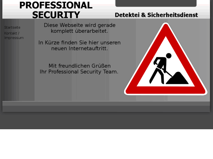 www.professional-security.info