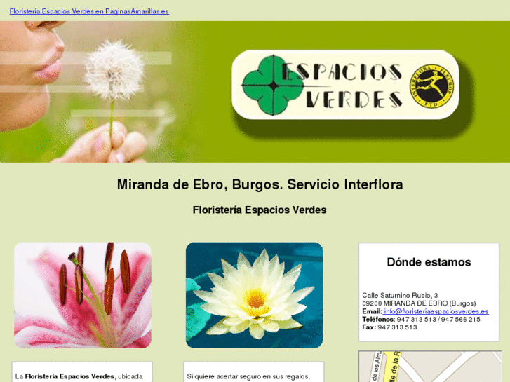 www.floristeriaespaciosverdes.es