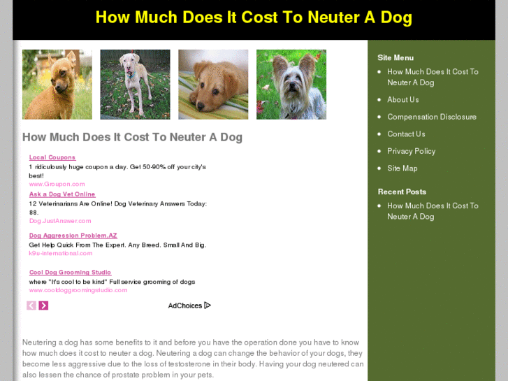 www.howmuchdoesitcosttoneuteradog.com