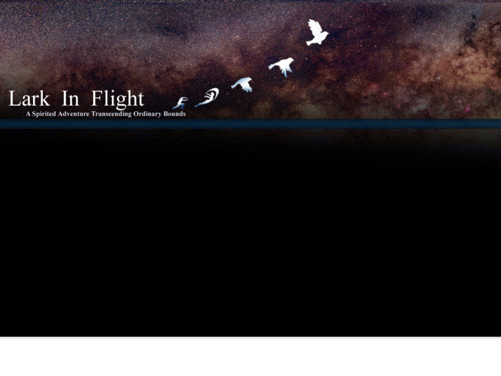 www.larkinflight.net