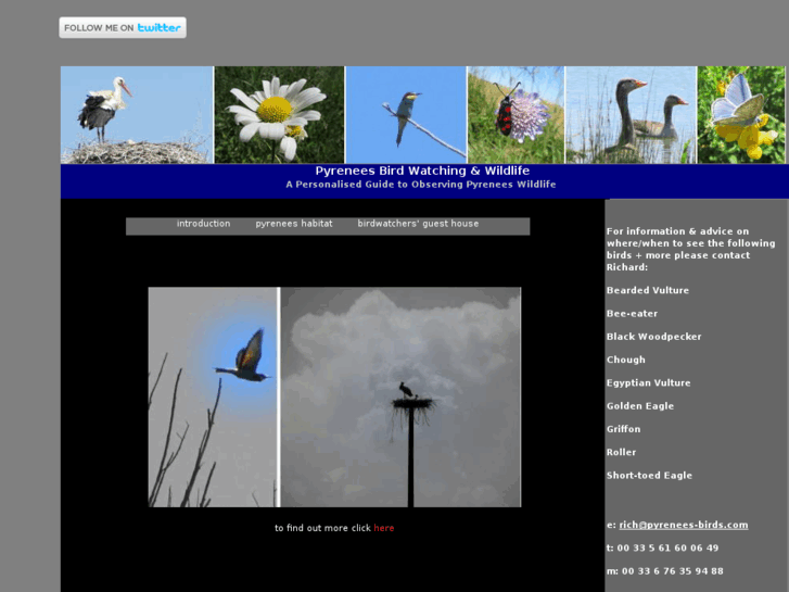 www.pyrenees-birdwatching.com