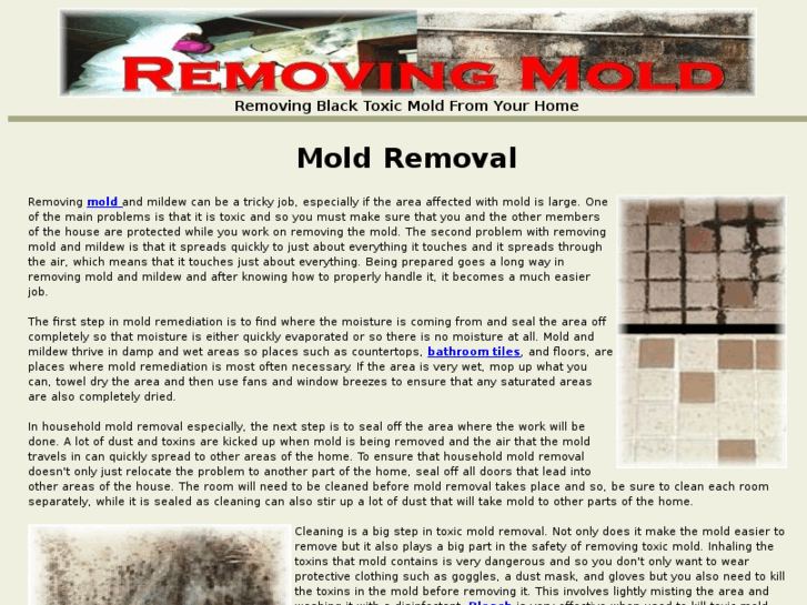www.removingmold.org