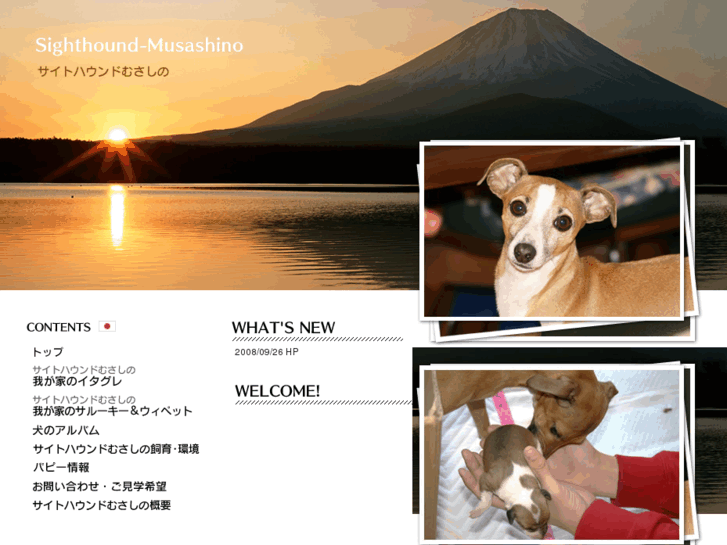 www.sighthound-musashino.com