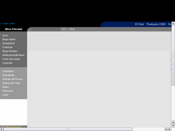 www.caei.es