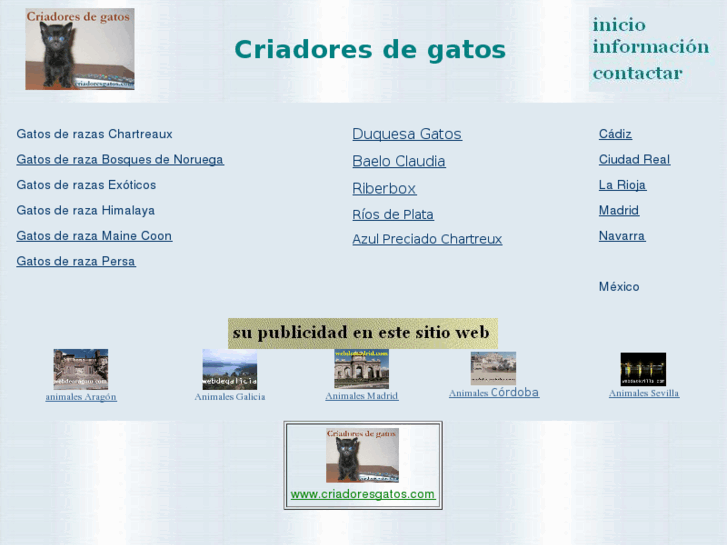 www.criadoresgatos.com