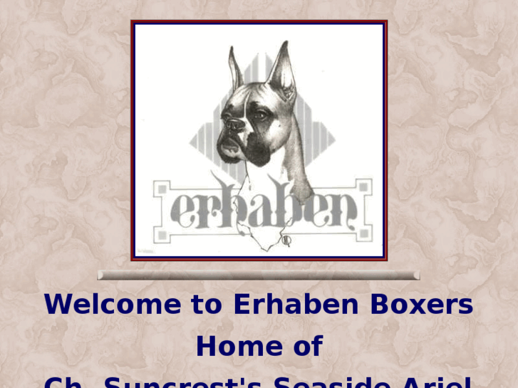 www.erhabenboxers.com