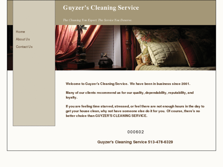 www.guyzerscleaning.com