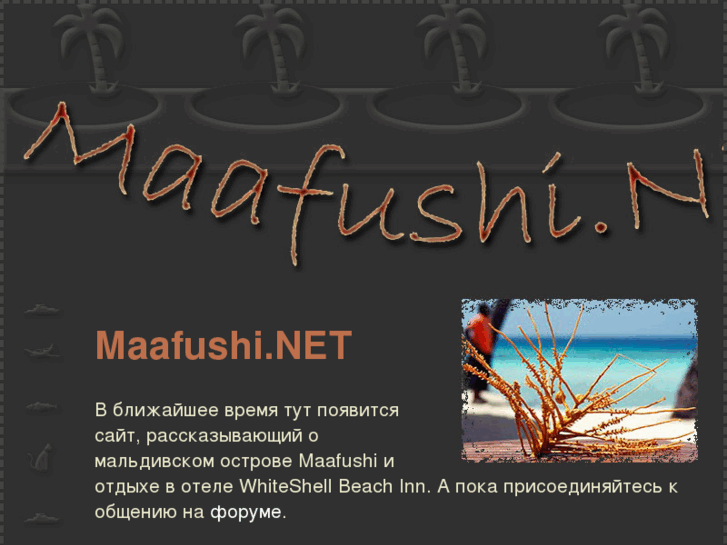 www.maafushi.net