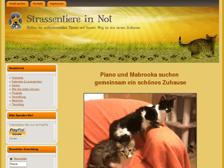 www.strassentiere-in-not.com