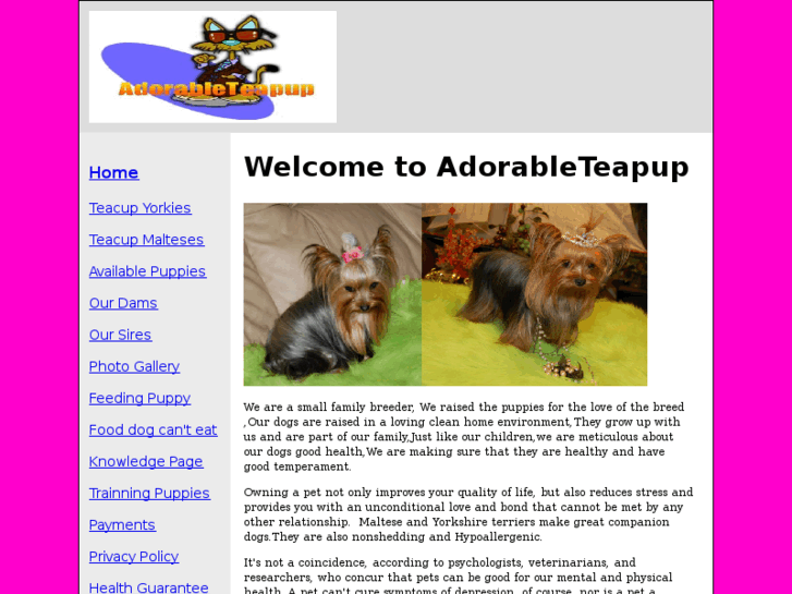 www.adorableteapup.com