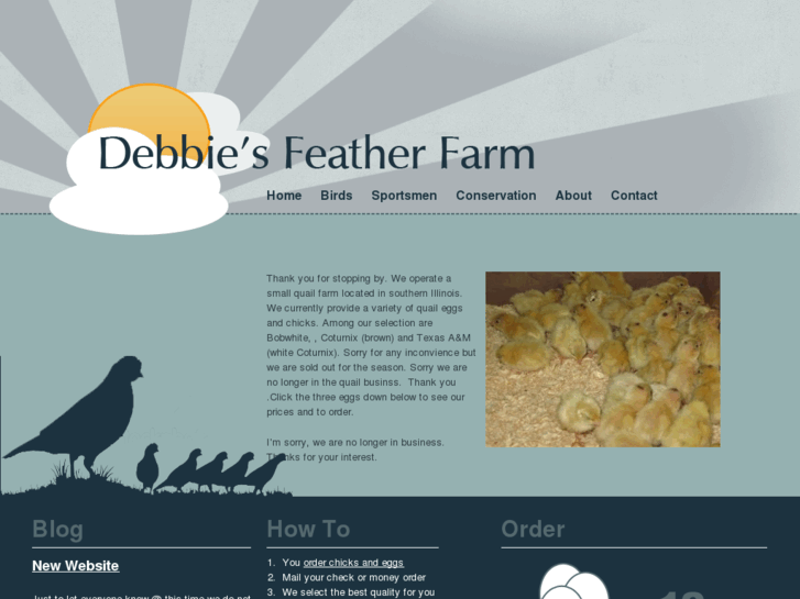 www.debbiesfeatherfarm.com