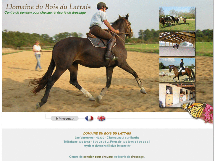 www.horse-pension-fr.com