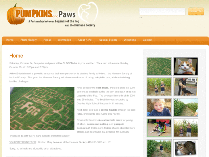 www.pumpkinsandpaws.com