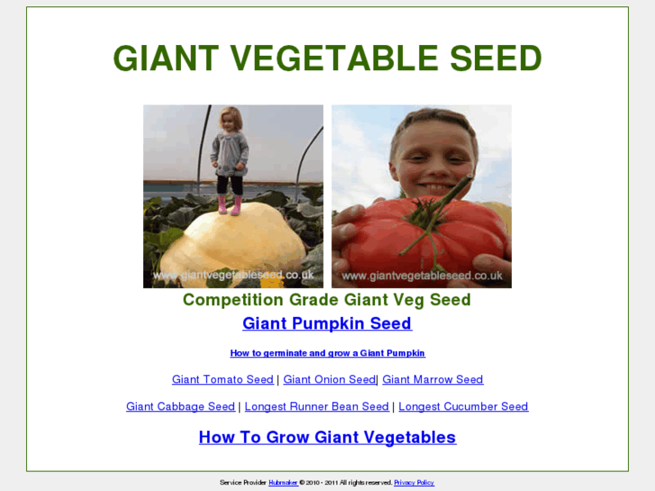 www.giantvegetableseed.co.uk