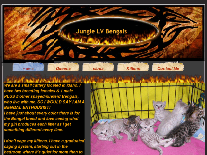 www.junglelvbengals.com