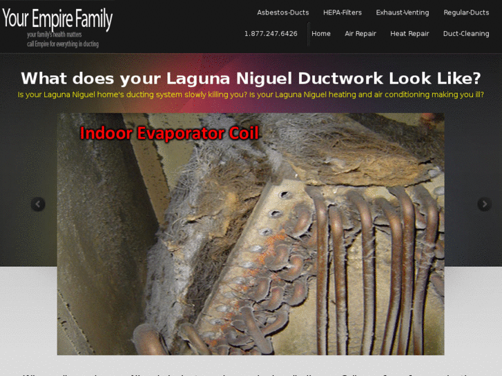 www.lagunaniguelairducts.com