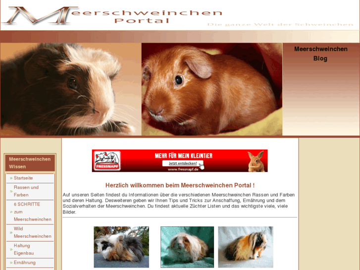 www.meerschweinchen-portal.de