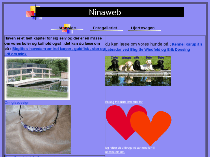 www.ninaweb.dk