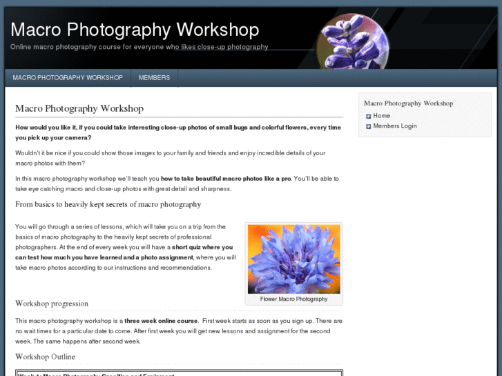 www.themacrophotographyworkshop.com