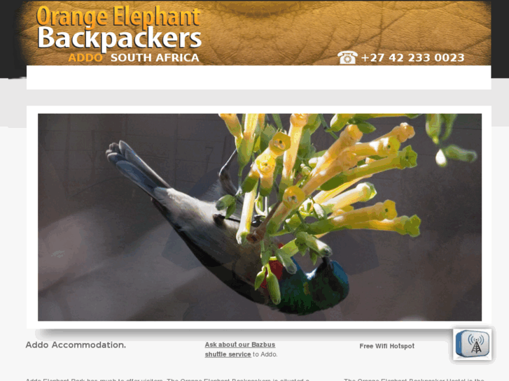 www.addobackpackers.com