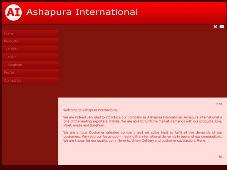 www.ashapurainternational.com