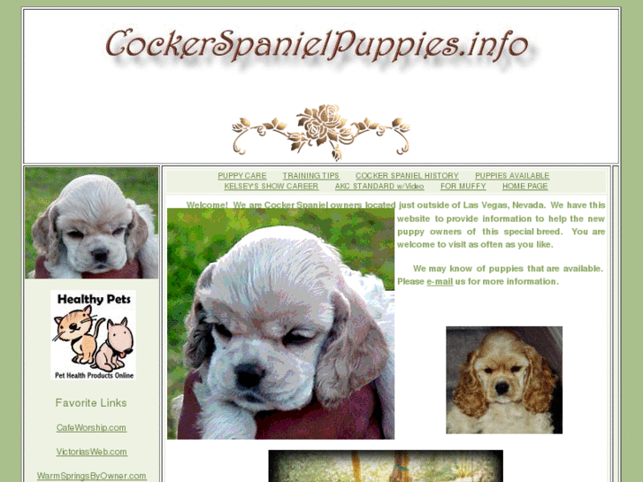 www.cockerspanielpuppies.info