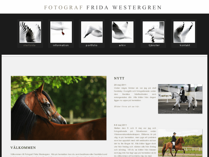 www.fridawestergrenfoto.se