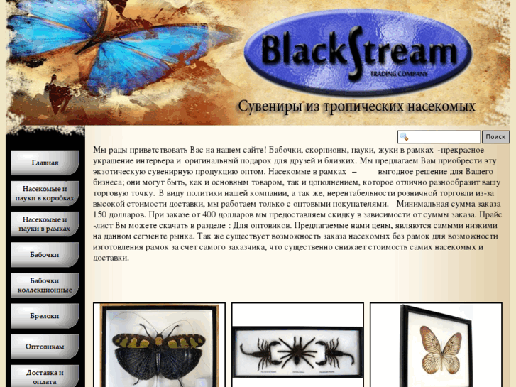 www.blackstream.org