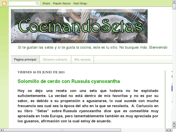 www.cocinandosetas.com