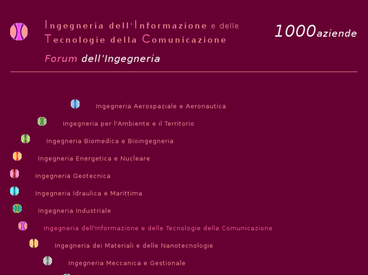 www.ingegneriadellinformazione.net