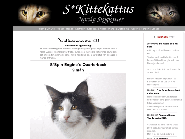 www.kittekattus.se