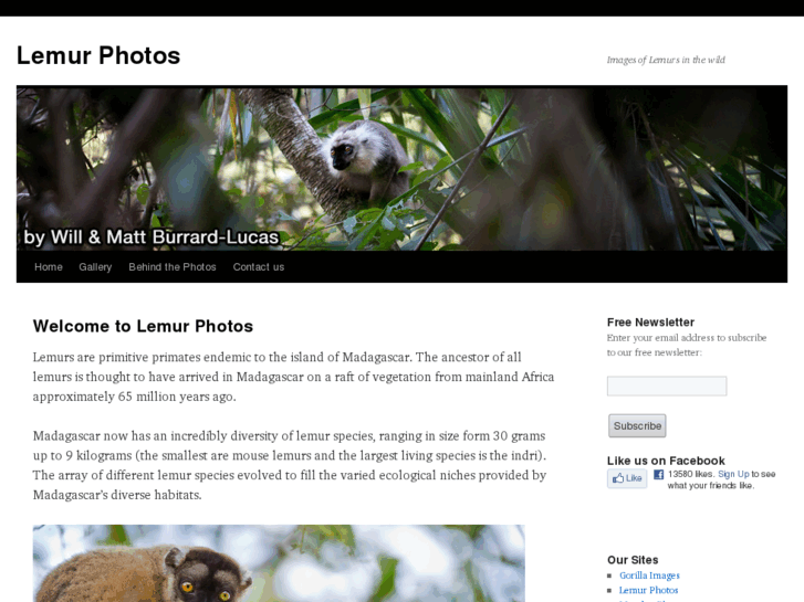 www.lemur-photos.com