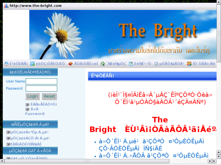 www.the-bright.com