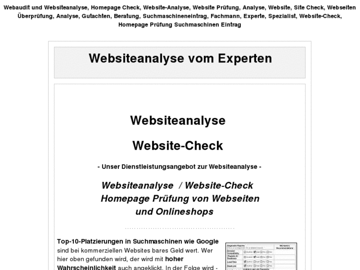 www.websiteaudit.de