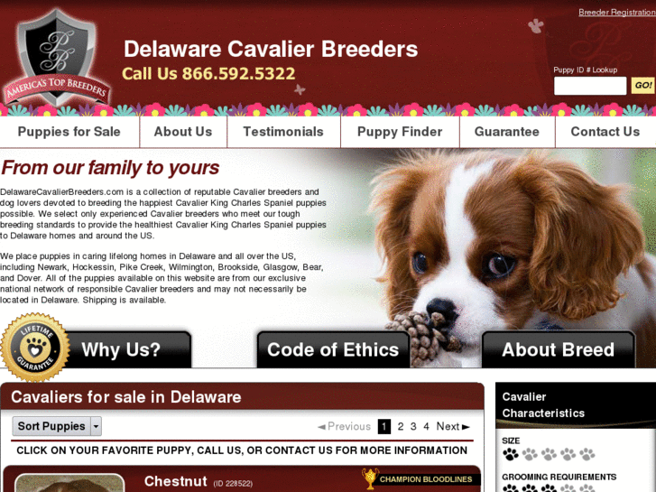 www.delawarecavalierbreeders.com