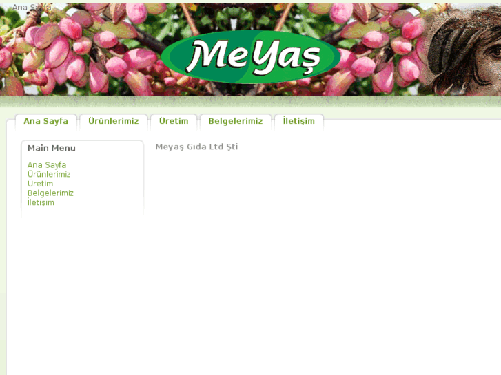 www.meyasgida.com