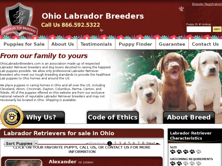 www.ohiolabradorbreeders.com