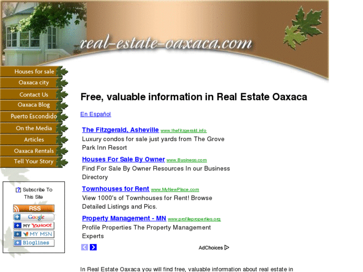 www.real-estate-oaxaca.com