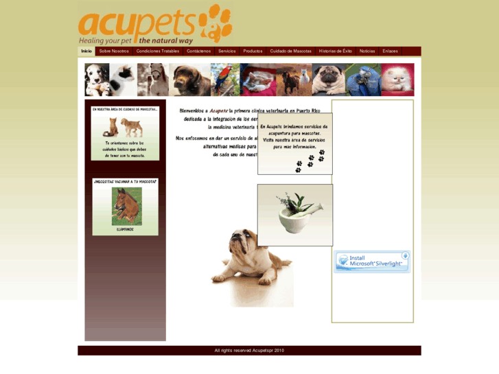 www.acupetspr.com