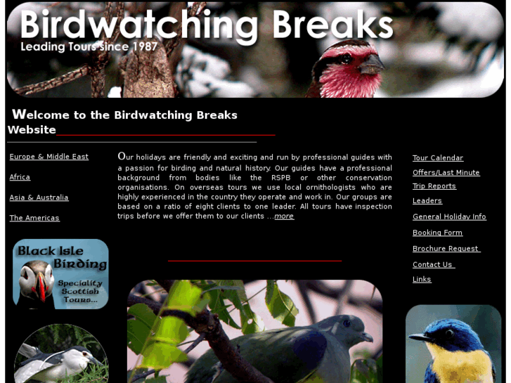 www.birdwatchingbreaks.com