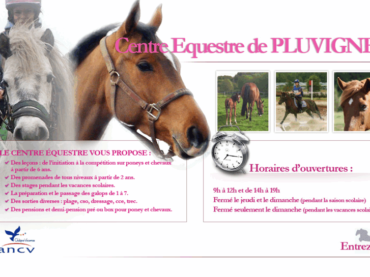 www.centre-equestre-pluvigner.com