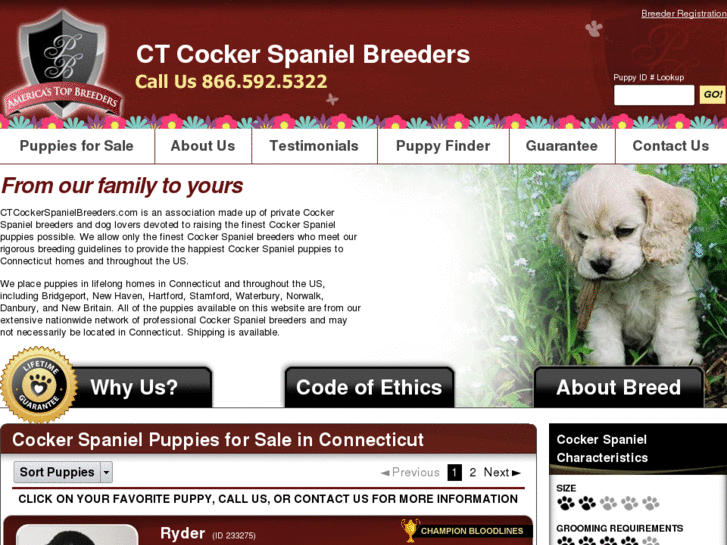 www.ctcockerspanielbreeders.com