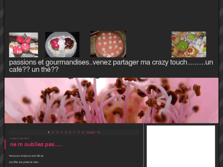 www.gourmandisesetpassions.com