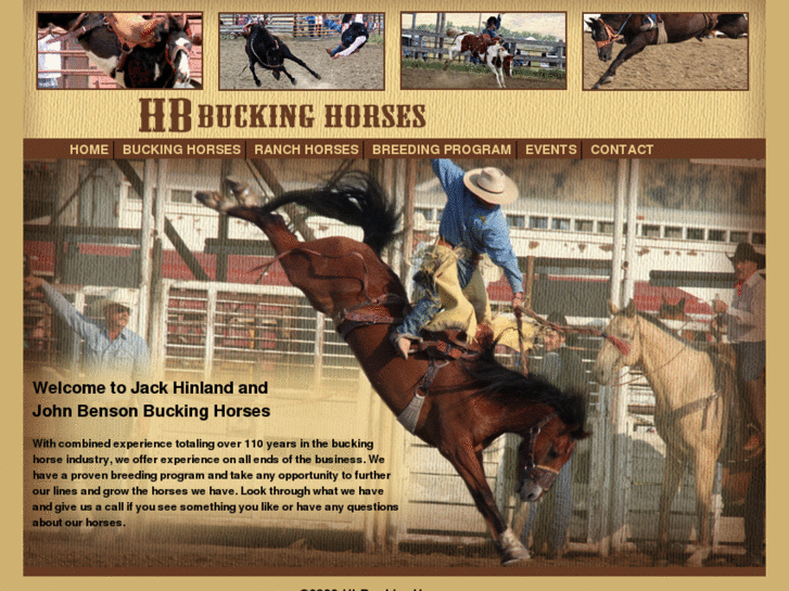 www.hbbuckinghorses.com