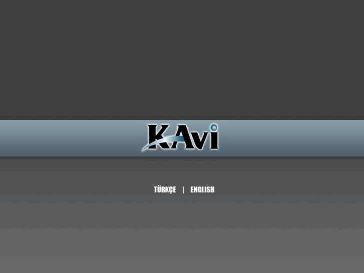 www.kaviinsaat.com