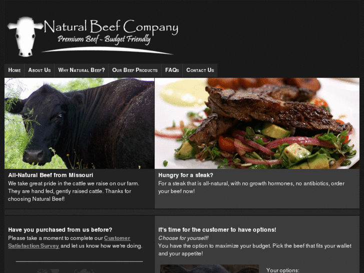 www.naturalbeefcompany.com