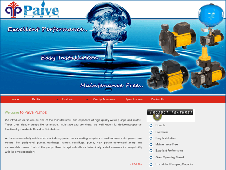 www.paivepumps.com