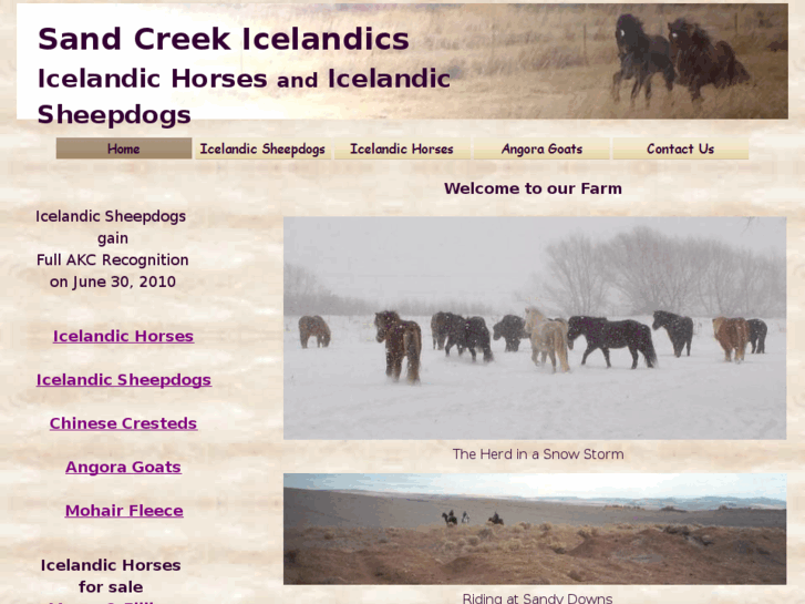 www.sandcreekicelandics.com