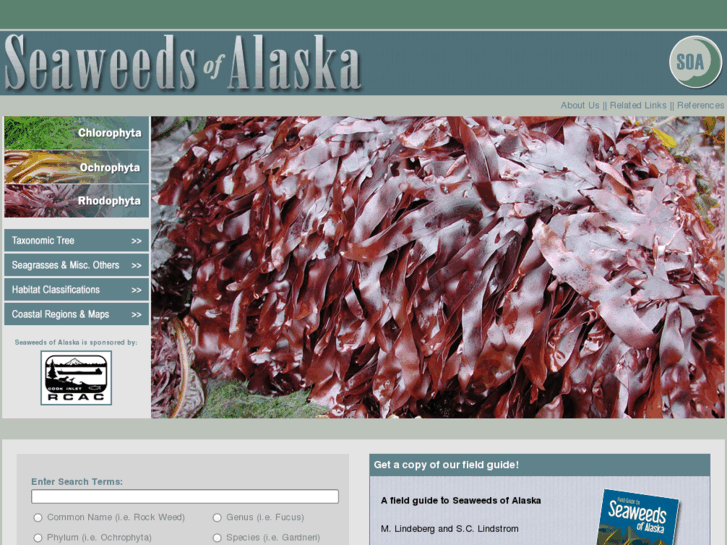 www.seaweedsofalaska.com