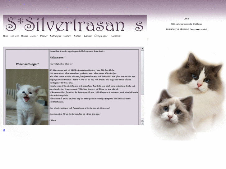 www.silvertrasans.com